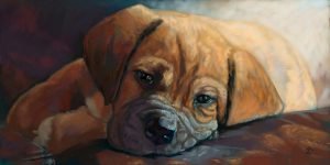 Hudson puppy portrait