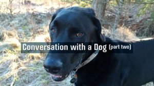 Conversation with a Dog image