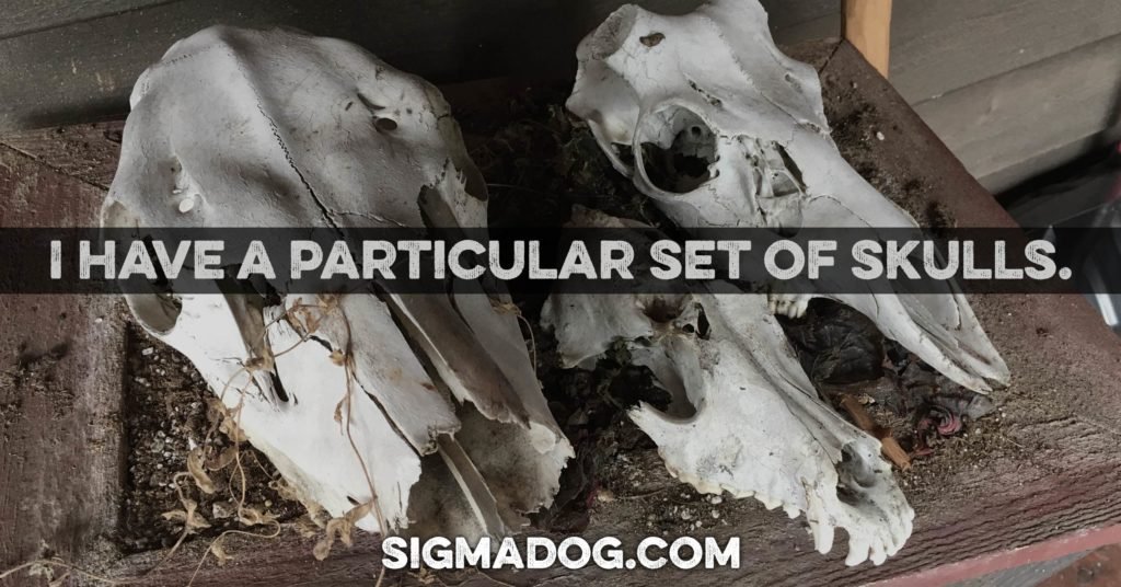 A particular set of skulls