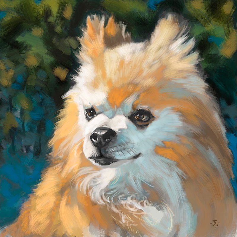 Grizz pet portrait