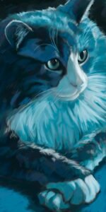 blue cotton kitty
