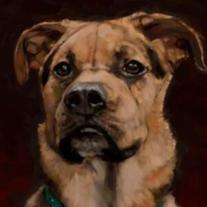 brooks dog portraits