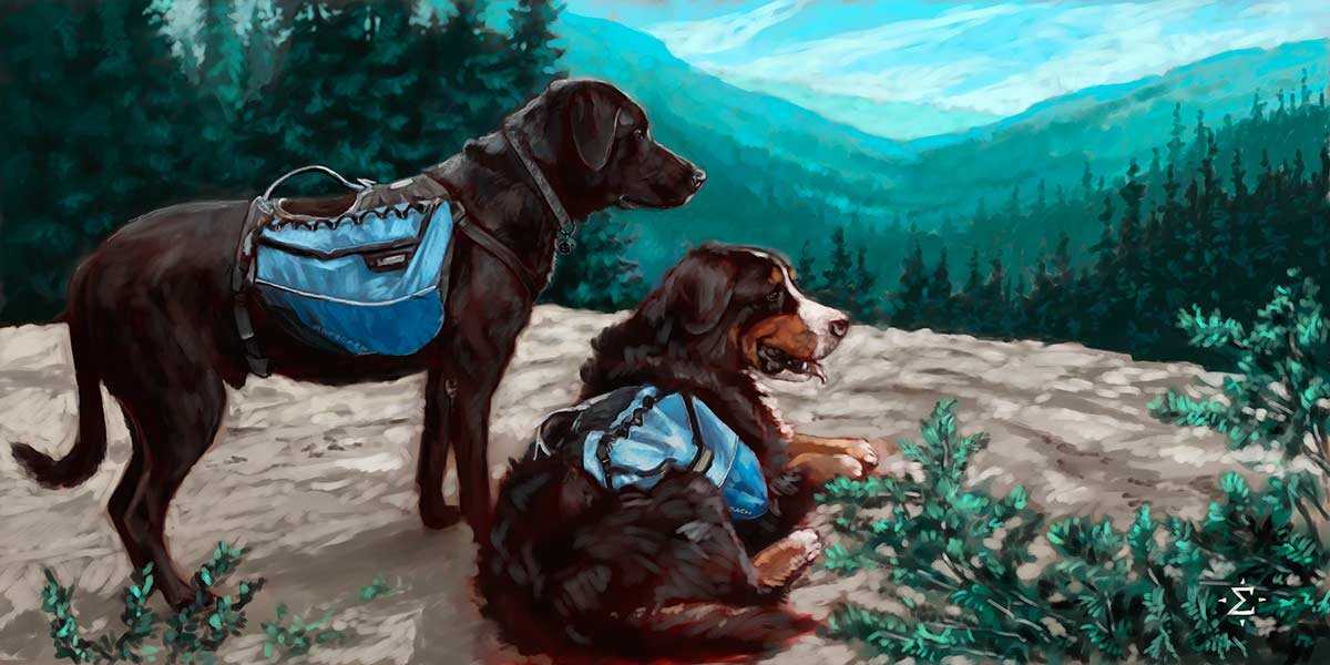 Hiking dogs portrait