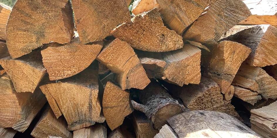 a wood pile