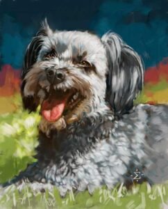 Chuy dog portrait