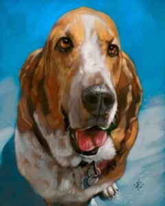 Hobee dog portrait