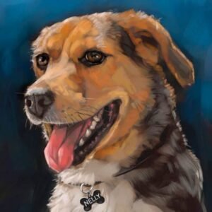 small 400x400 dog portrait of Nelly