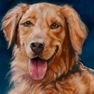 small 400x400 dog portrait of Tally