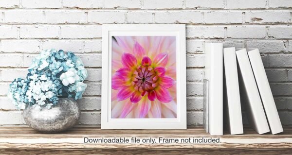 Suggested framing of Dahlia #1 frame not included