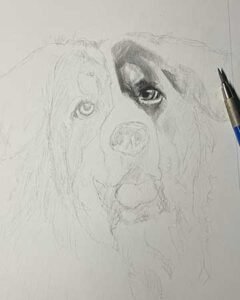Graphite drawing of Beorn in progress 1 of 5