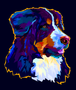 Pop Art image of a Bernese Mtn. Dog