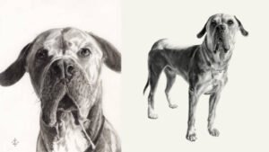 Hudson at five years