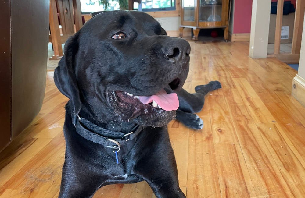 A Happy Zeus, inside