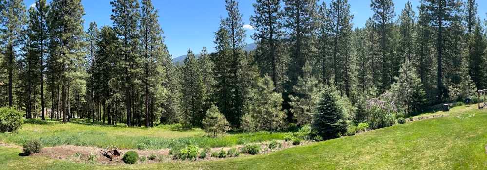 Our frontyard