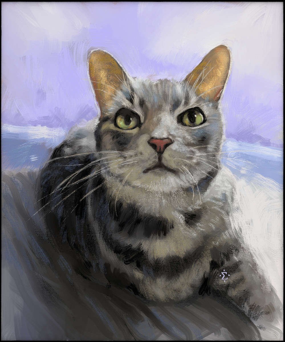 A cat portrait on a lilac background