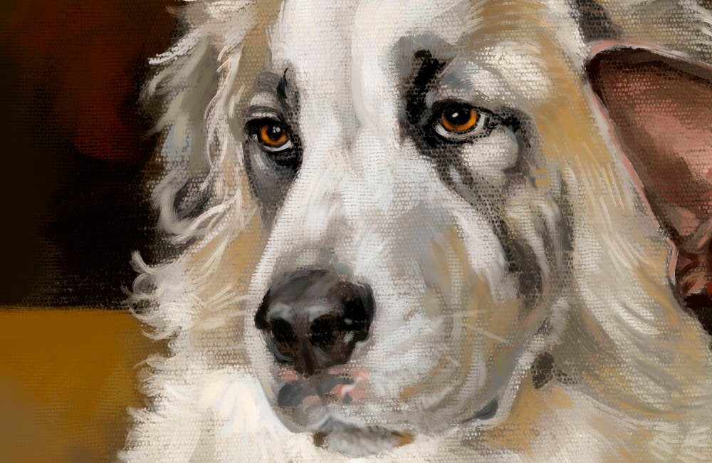 Featured image for “Lucy and Blue”