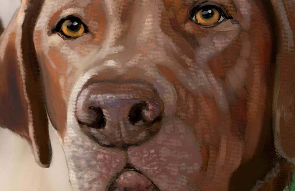 Featured image for “Double Trouble with Millie and Bear”