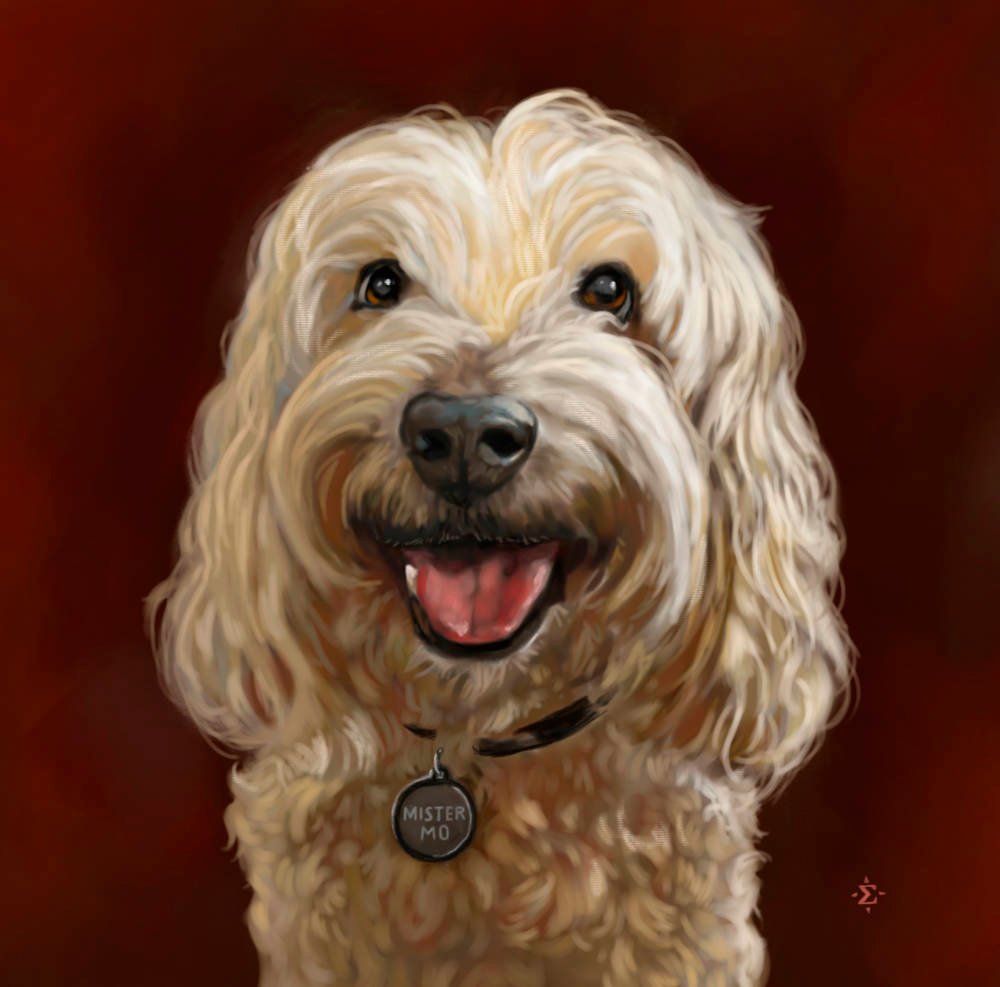 A friendly dog portrait of Mr. Mo