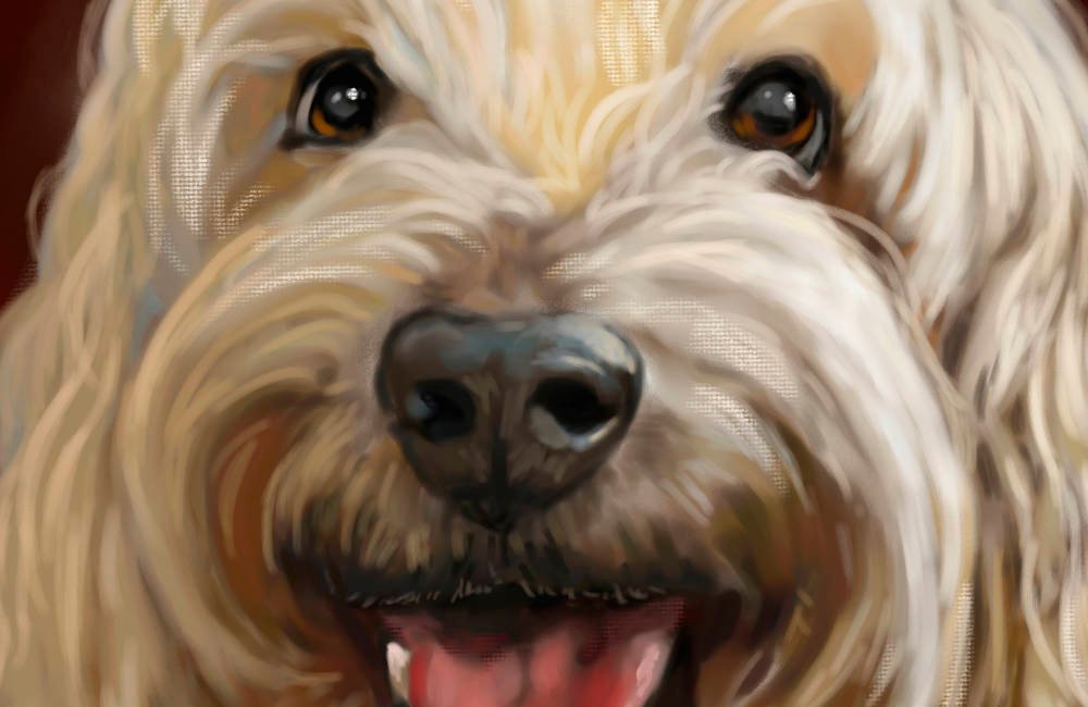 Featured image for “Mr. Mo Is Happy to Meet You!”