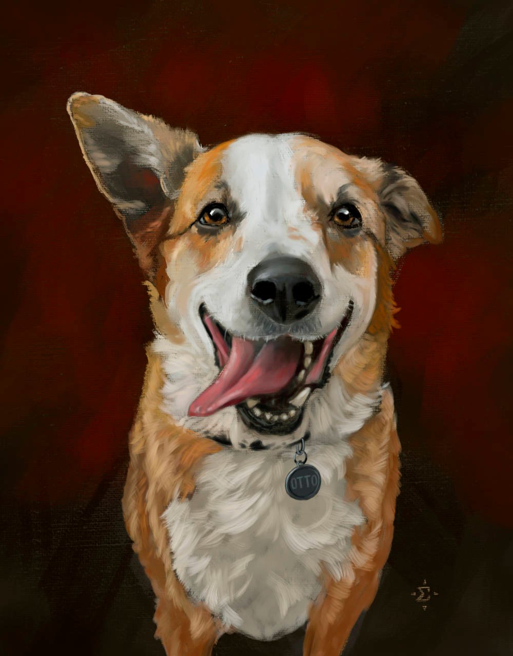 A happy portrait of Otto, a friendly dog