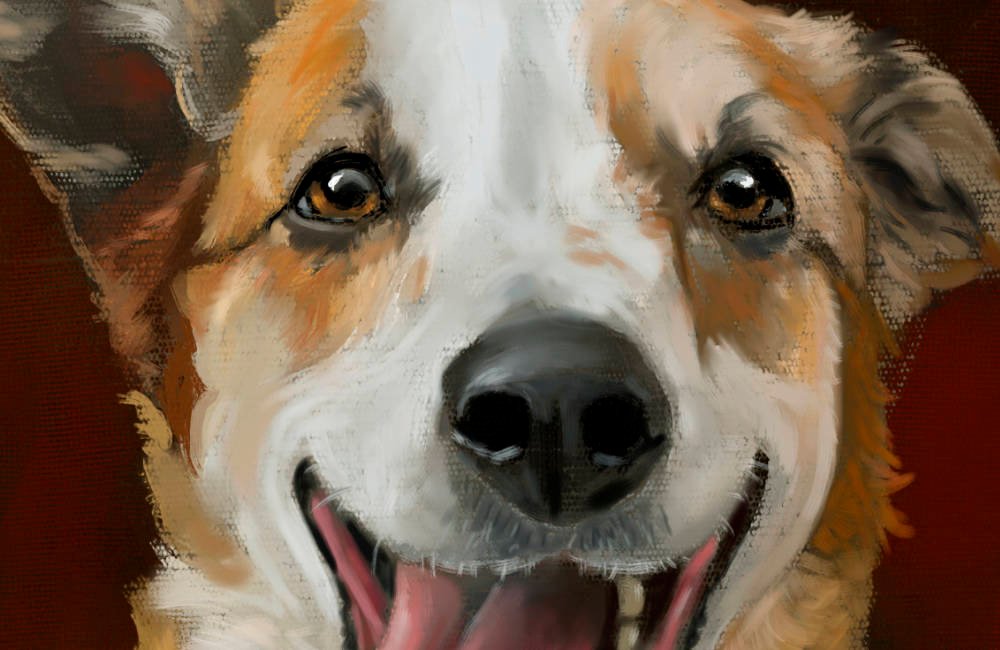Featured image for “I Love Happy Dog Portraits”