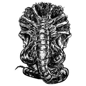 Alien facehugger ink drawing