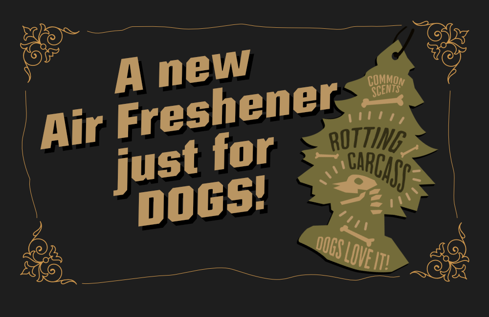 Featured image for “Dogonomics: Bartering With A Bernese Mountain Dog”