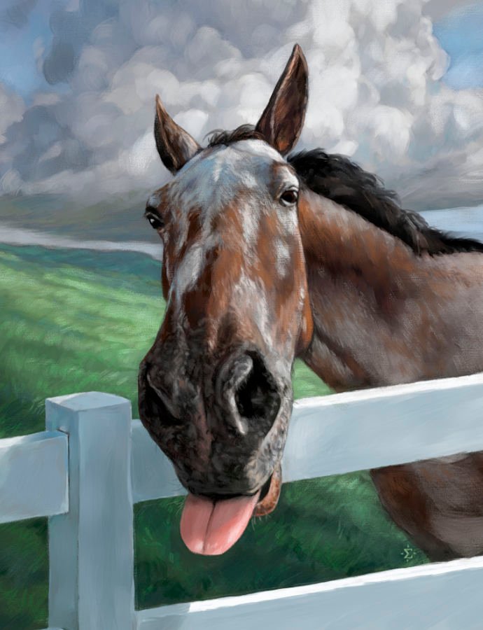 Loki - a funny horse portrait
