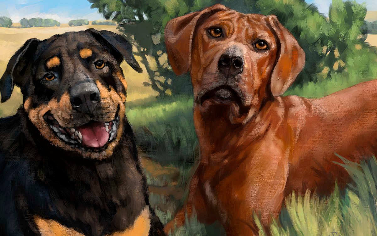Featured image for “Two Big Dogs and a Very Big Portrait”